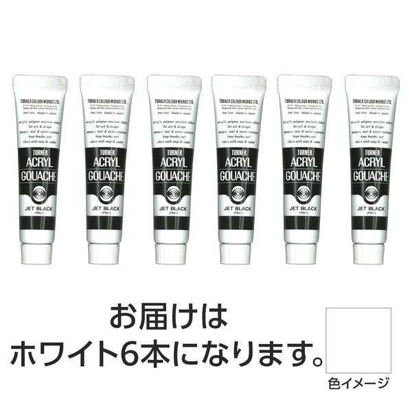 ターナー色彩 アクリルガッシュ 11ml 1ホワイト 6個 108801