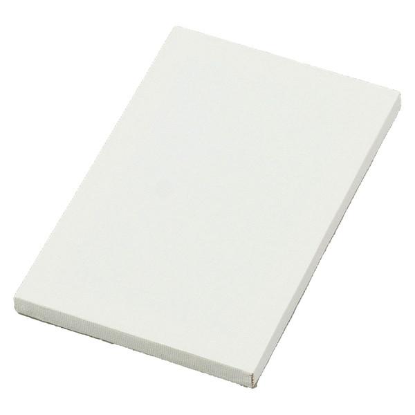 アーテック ミニキャンバス 大 12277