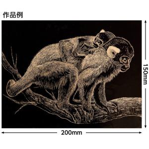 アーテック ゴールドスクラッチボード200×1...の詳細画像2