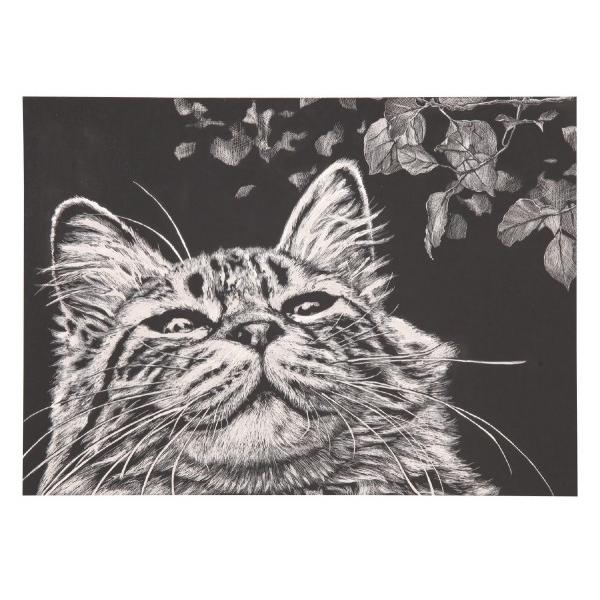 アーテック スクラッチボード枠なし紙製 13177