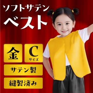 アーテック ソフトサテン ベスト C 金 18650の詳細画像1