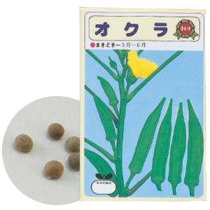 アーテック 野菜の種 オクラ 2739