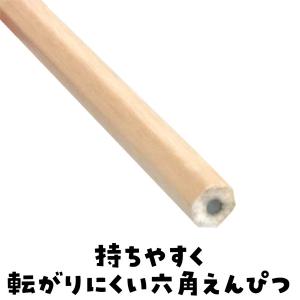 アーテック 鉛筆 2B(12本組) ナチュラル...の詳細画像2