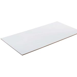 DAIKEN 天井材 ダイライト軒天30 現場塗装品 12mm厚 910×1820mm