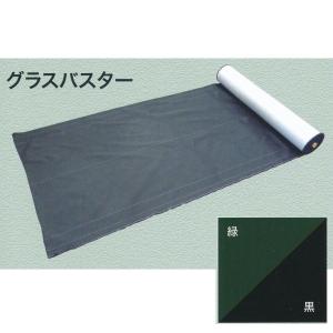 大建 防草シート グラスバスター 緑/黒 幅1m...の商品画像
