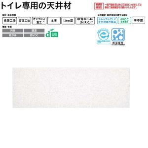 DAIKEN 防音室用天井材 オトテン オトテン19H ソフトブラック 19mm厚