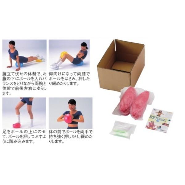 ダンノ ソフトギムニク10（10個1組） Φ23cm