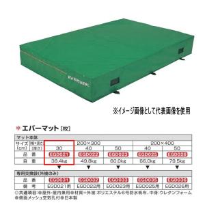 エバニュー エバーマット 防水帆布仕様 EGD021 200×300cm 30cm厚｜interiortool