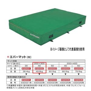 エバニュー エバーマット 防水帆布仕様 EGD022 200×300cm 40cm厚｜interiortool