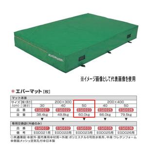 エバニュー エバーマット 防水帆布仕様 EGD023 200×300cm 50cm厚｜interiortool