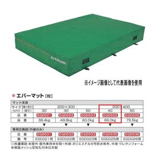 エバニュー エバーマット 防水帆布仕様 EGD025 200×400cm 40cm厚｜interiortool