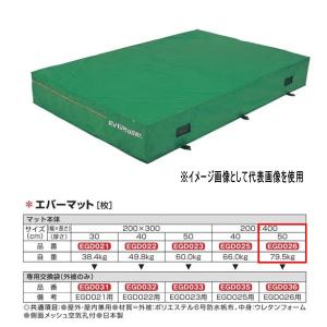 エバニュー エバーマット 防水帆布仕様 EGD026 200×400cm 50cm厚｜interiortool