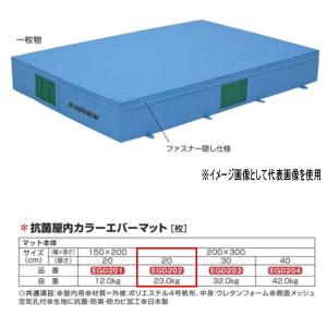 エバニュー 抗菌 屋内 カラーエバーマット EGD202 200×300cm 20cm厚｜interiortool