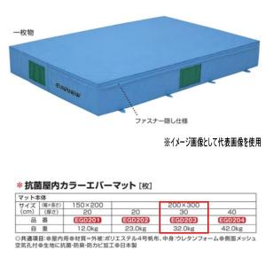 エバニュー 抗菌 屋内 カラーエバーマット EGD203 200×300cm 30cm厚｜interiortool