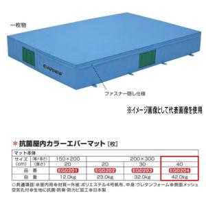 エバニュー 抗菌 屋内 カラーエバーマット EGD204 200×300cm 40cm厚｜interiortool