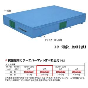 エバニュー 抗菌 屋内 カラーエバーマット すべり止付 EGD206 200×300cm 20cm厚｜interiortool