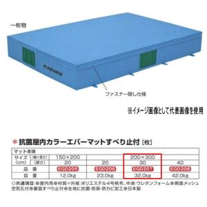 エバニュー 抗菌 屋内 カラーエバーマット すべり止付 EGD207 200×300cm 30cm厚｜interiortool