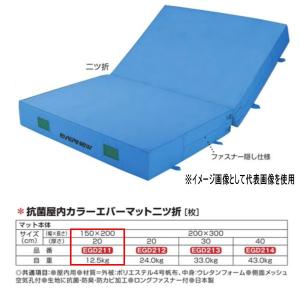 エバニュー 抗菌 屋内 カラーエバーマット 二ツ折 EGD211 150×200cm 20cm厚｜interiortool