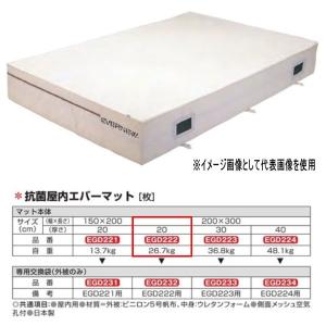 エバニュー 抗菌 屋内 エバーマット EGD222 200×300cm 20cm厚｜interiortool