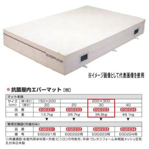 エバニュー 抗菌 屋内 エバーマット EGD223 200×300cm 30cm厚｜interiortool