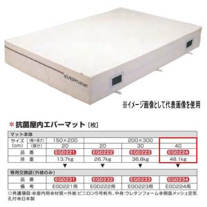 エバニュー 抗菌 屋内 エバーマット EGD224 200×300cm 40cm厚｜interiortool