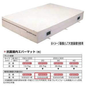 エバニュー 抗菌 屋内 エバーマット EGD222用専用交換袋（外被のみ） EGD232｜interiortool