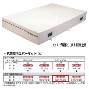 エバニュー 抗菌 屋内 エバーマット EGD223用専用交換袋（外被のみ） EGD233｜interiortool