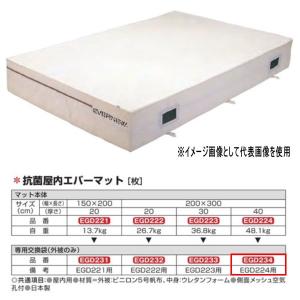 エバニュー 抗菌 屋内 エバーマット EGD224用専用交換袋（外被のみ） EGD234｜interiortool