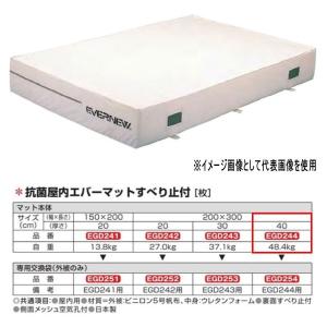 エバニュー 抗菌 屋内 エバーマット すべり止付 EGD244 200×300cm 40cm厚｜interiortool