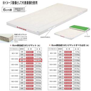 EVERNEW（エバニュー） ブロックマット ミニ EKH177 防炎 : イーヅカ