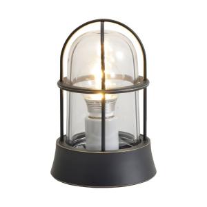 ユニソン 12V照明 エコルトトランス スタンダート35 EA 11701 00 照度