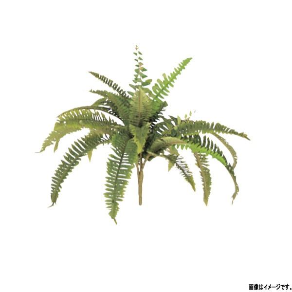 グローベン 人工植物 下草屋内用 ボストンファンB A70NC105 W500mm