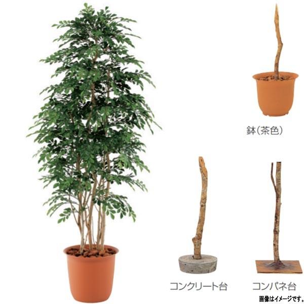 グローベン 人工植物 樹木・屋内用 トネリコ A70ND385 H1500mm
