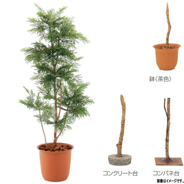 グローベン 人工植物 樹木・屋内用 エバーフレッシュ A70ND515 H1500mm