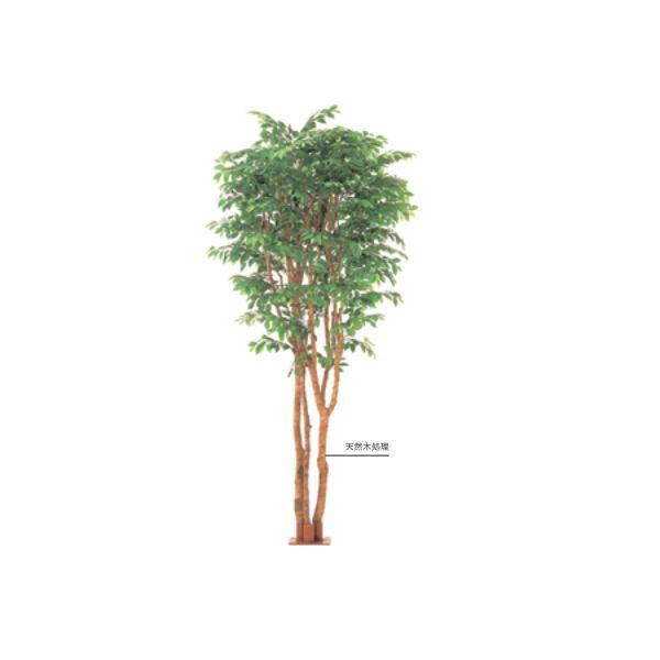 グローベン 人工植物 樹木・ビックベンジャミン 3本立 H3000 A70NS933E