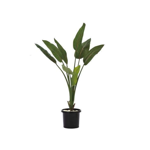 グローベン 人工植物 樹木・屋内用 ストレチア H1200 A70TN142