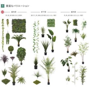 グローベン 人工植物 樹木・屋外用 アレカヤシ...の詳細画像1