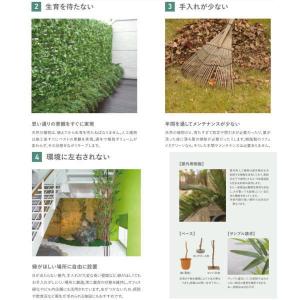 グローベン 人工植物 樹木・屋外用 アレカヤシ...の詳細画像2