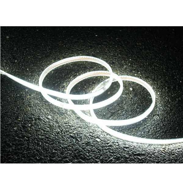 LEDロープライト 片面発光 10m 743-56