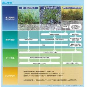 萩原工業 グランドバリアクロス 防草シート G...の詳細画像2