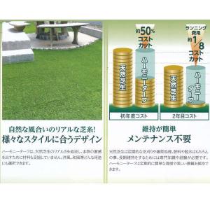 リアル人工芝 ハーモニーターフ リアル 28m...の詳細画像5