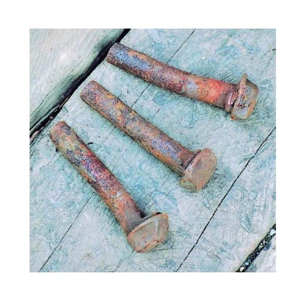 ジャービス商事 アンティーク犬釘（10本入） 26009