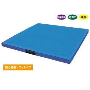 KLASS 抗菌柔道用投げ込みマット 200×300cm 厚み10cm TB21001｜interiortool