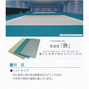 TOEI LIGHT（トーエイライト） マグネット吹矢（A2サイズ） B2516