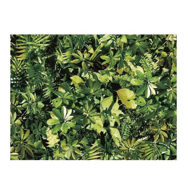 明和グラビア 貼ってはがせる デコタイルシート DGT-08 ウォールグリーン 40cm×100cm...