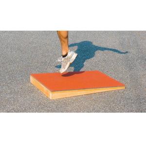 EVERNEW（エバニュー） ソフトラダートレーニングロープ 長さ約4m×幅