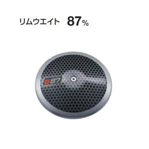 ニシ・スポーツ やり ノルディック 600g（女子用） ダイアナ NXS flex7
