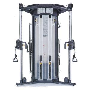 スポーツアート ロータリートーソ P835 3833A776 : イーヅカ - 通販