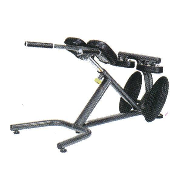 スポーツアート バックエクステンションベンチ A993II NT3827