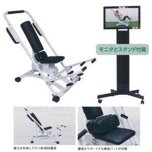 ニーアップ&チンニング&ディプス スポーツアート チン・ディップ A994 NT3829 : イーヅカ - 通販